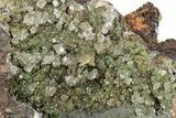 Rhombohedral Calcite and Barite on Conichalcite - Ojuela Mine #219861-3